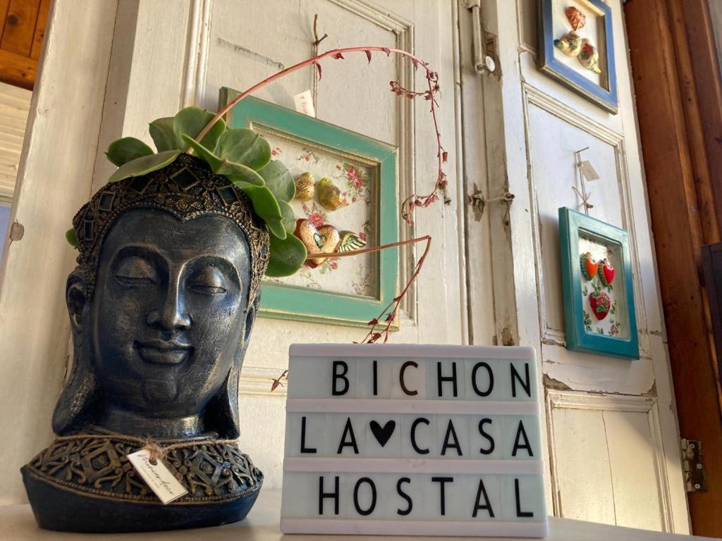 Bichon La Casa Hostal Pichilemu Ngoại thất bức ảnh