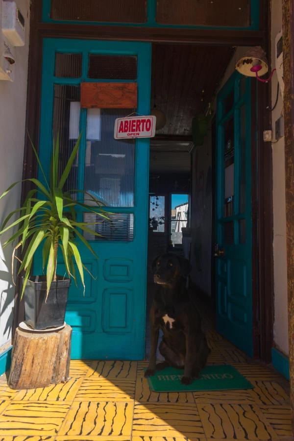 Bichon La Casa Hostal Pichilemu Ngoại thất bức ảnh